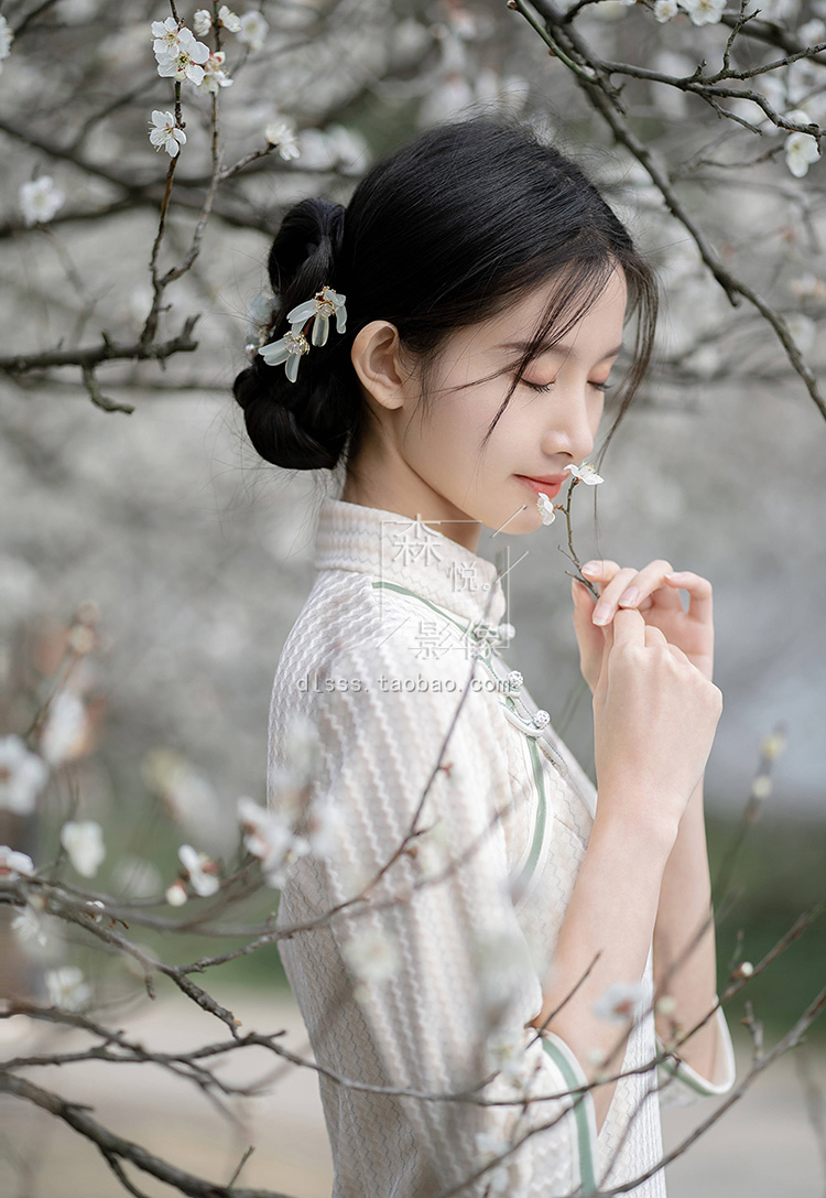 YP3145 写真